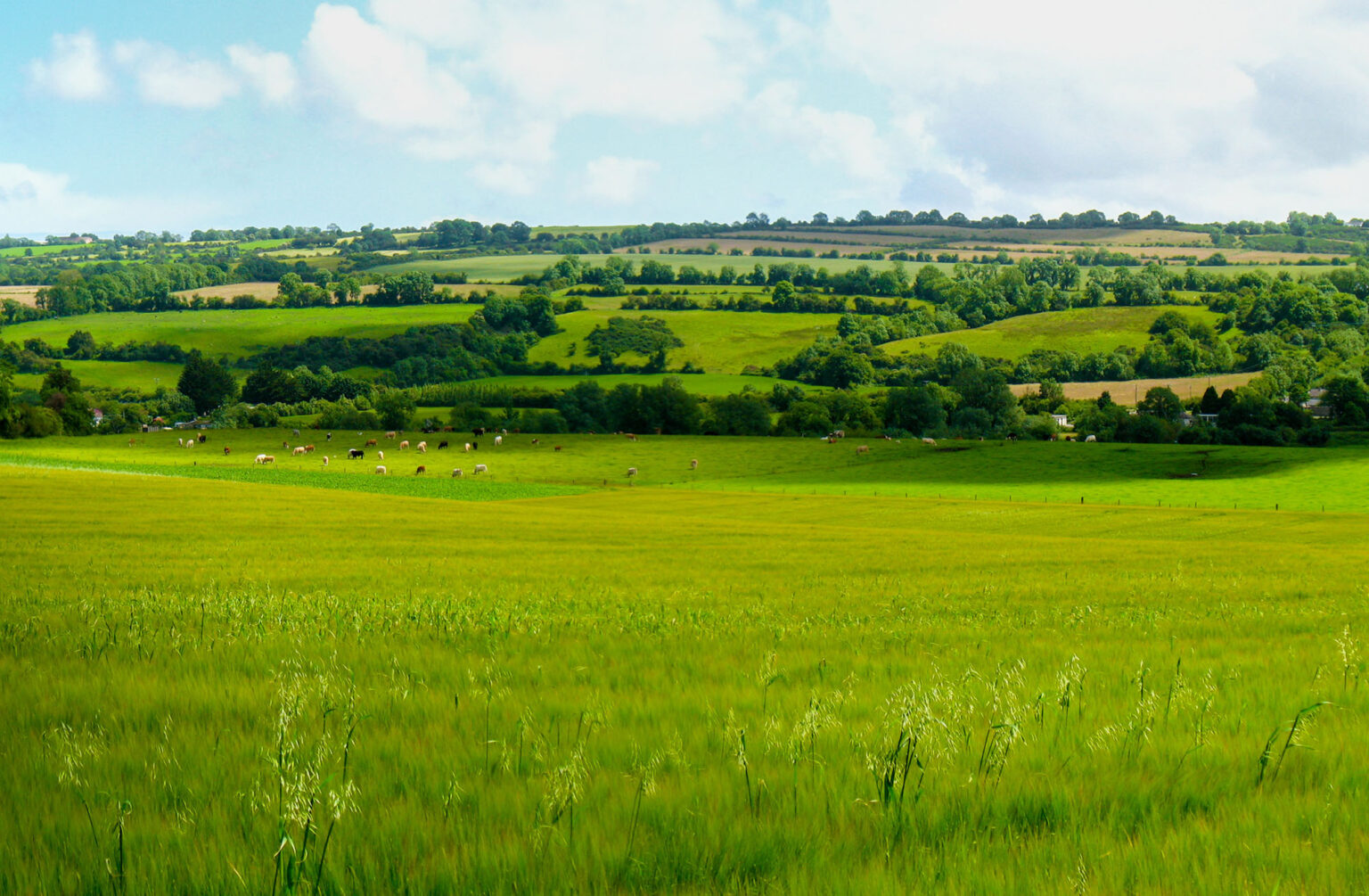 Sell farms and land in Kent & Sussex Lambert & Foster