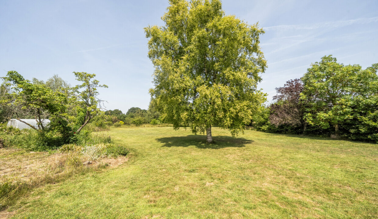 00003025-50
