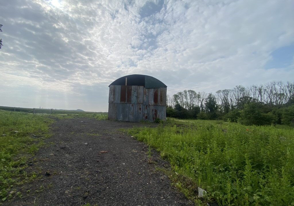 LF003978-12