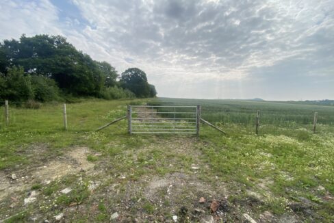 LF003978-14