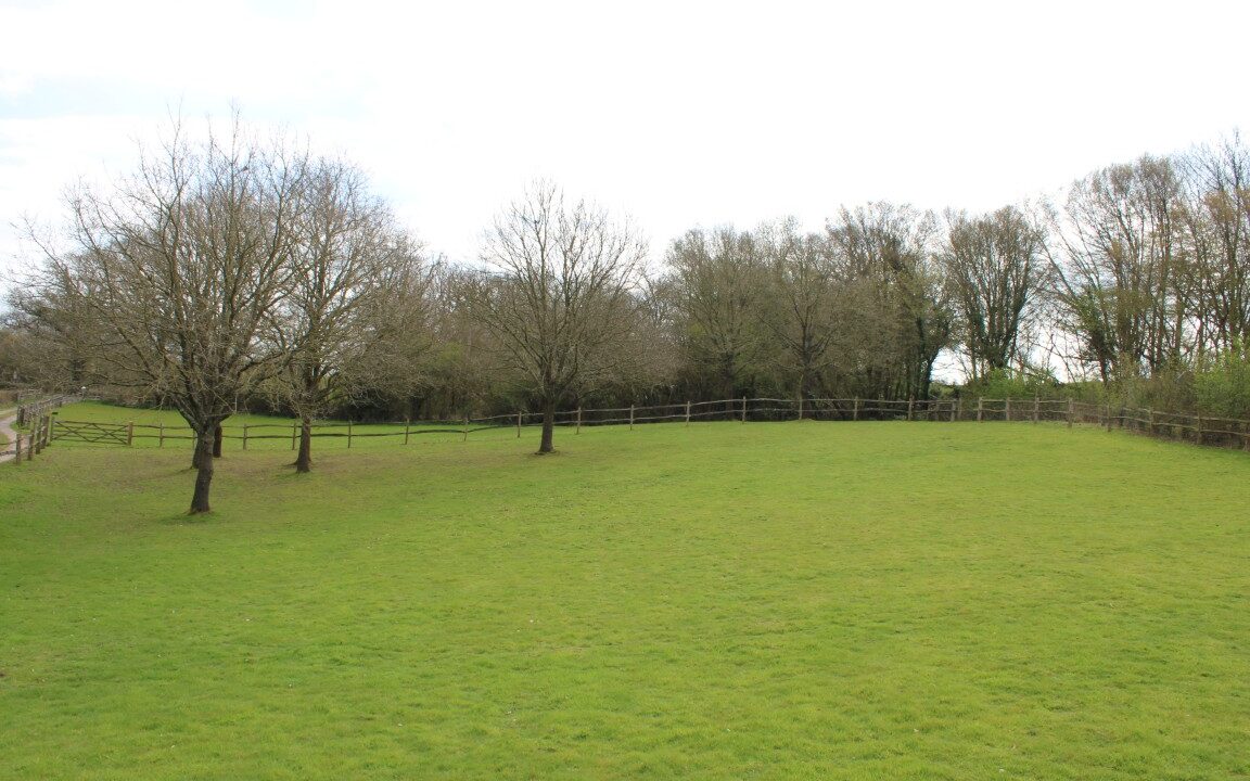 LF004260-16