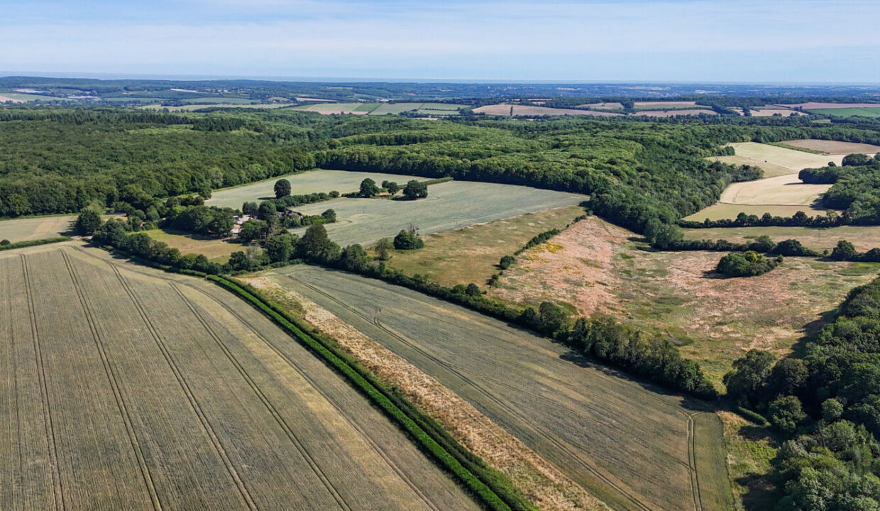 LOT-2-east.jpg
