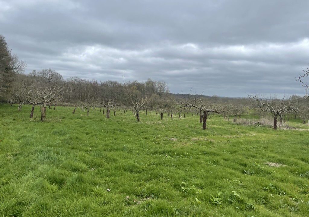 Standen-3.jpg